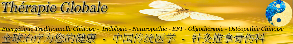 Therapie globale c'est un collectif de praticiens en  Energétique Tradionnelle Chinoise et en Naturopathie, qui désirent sincèrement aider les personnes souffrantes...